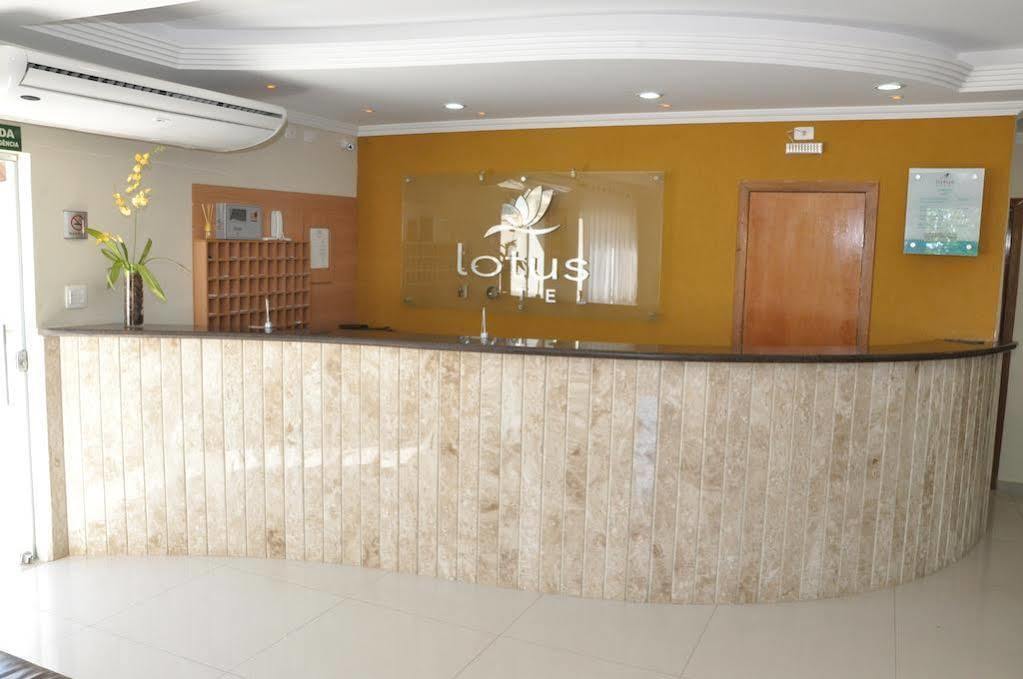 Lotus Hotel - A 6 Km Do Santuario De Aparecida-Sp Гуаратингета Экстерьер фото